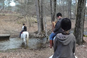 A trail ride at Mt. Toby Stables